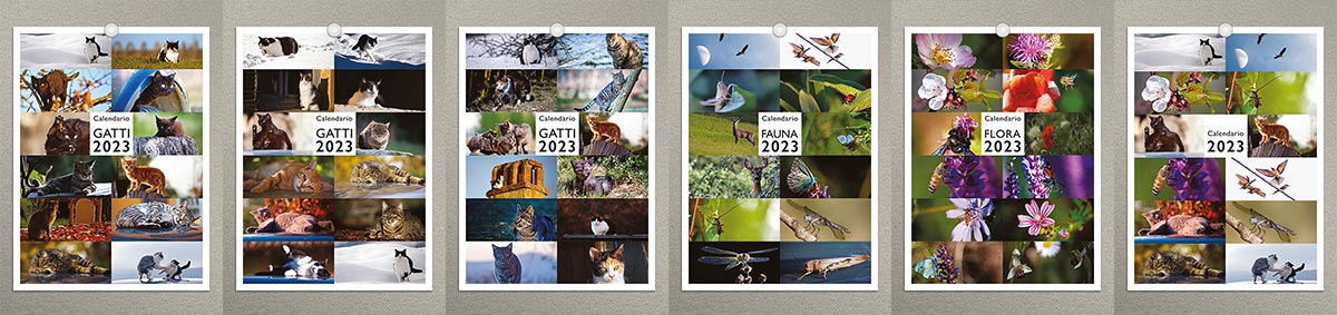Calendari 2023 Colonia Felina ● Cascina Oca