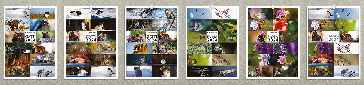 Calendari 2023 Colonia Felina ● Cascina Oca