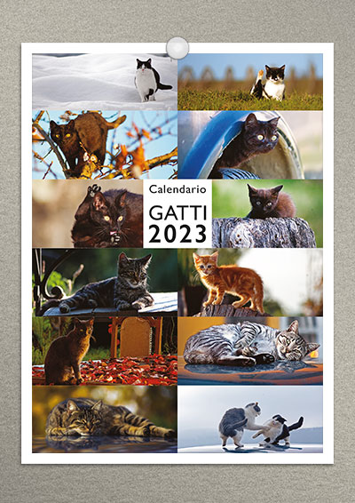 calendario gatti 2023 02