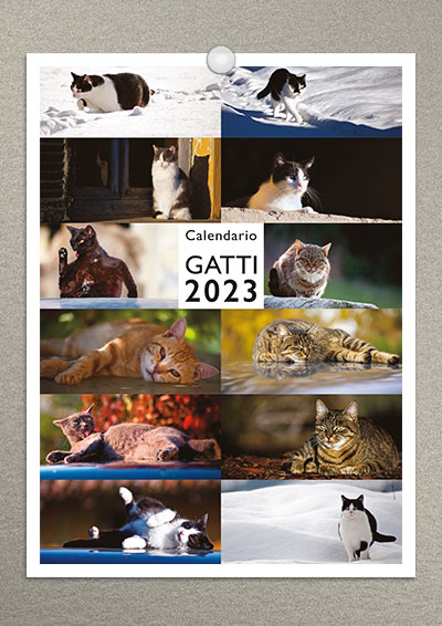calendario gatti 2023 03