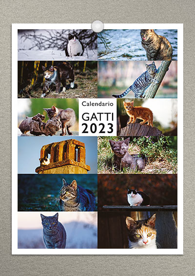 calendario gatti 2023 02